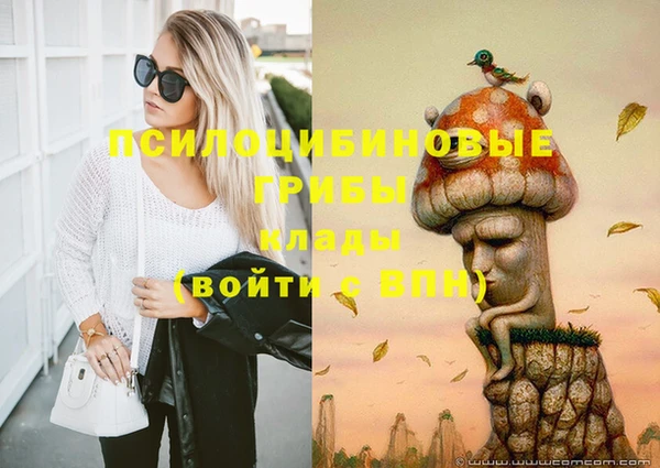 мет Елабуга